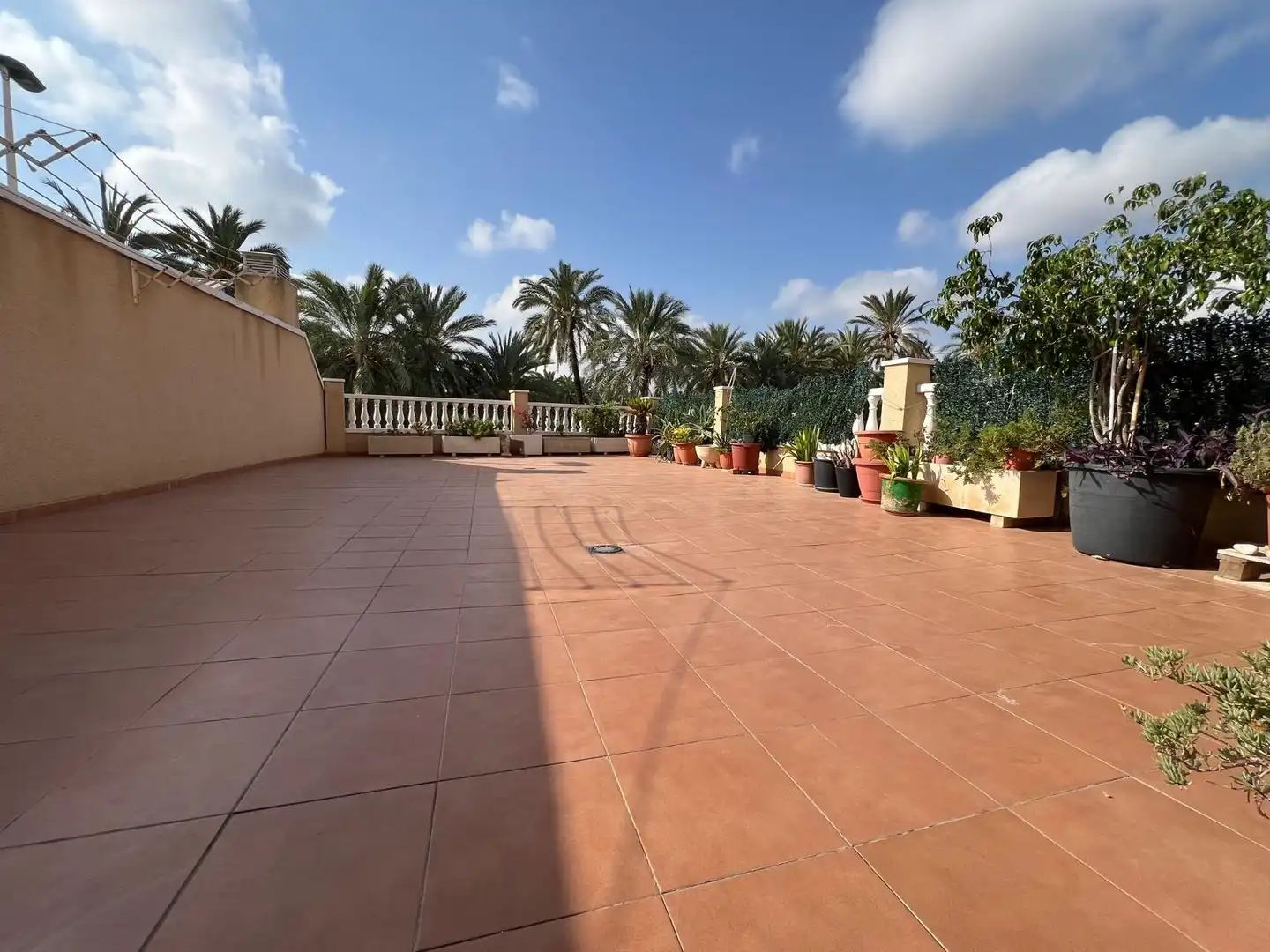 Terrace of Flat for sale in Elche / Elx  with Terrace