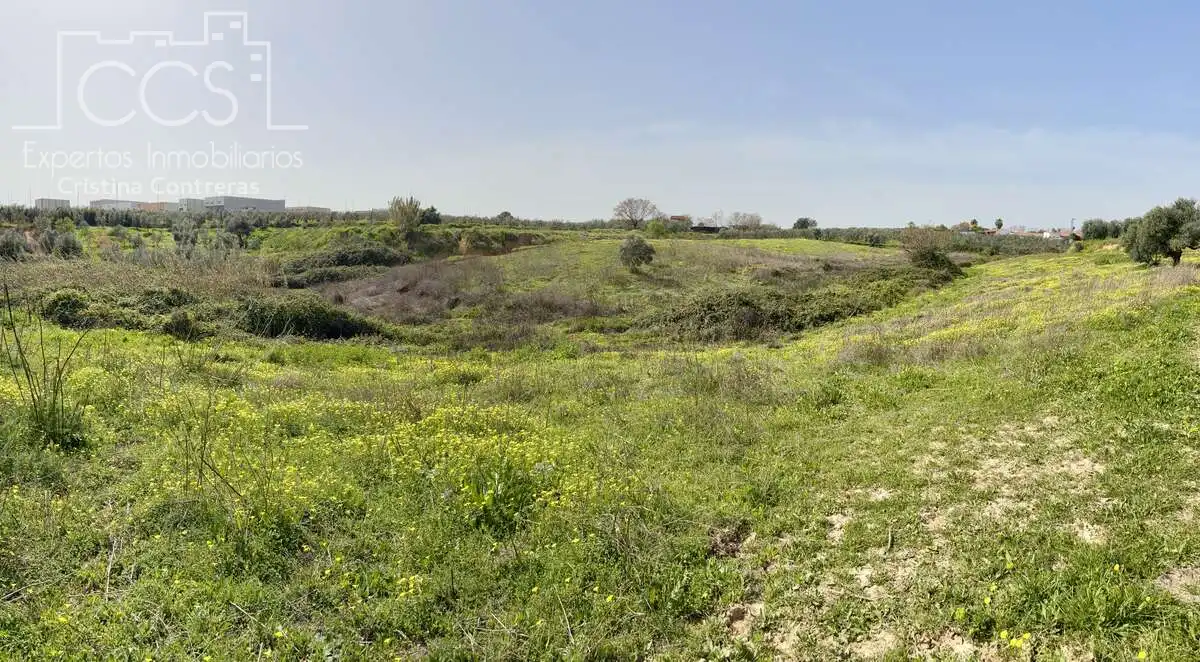 Country homes for sale in Pilas  with Swimming Pool