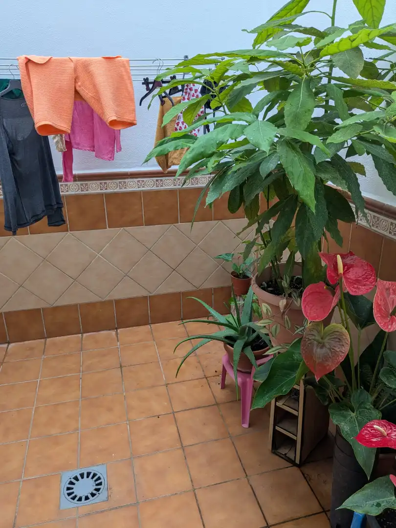Terraza de Casa o chalet en venta en Motril con Amueblado