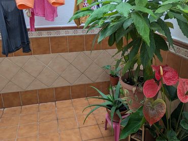 House for sale in Motril  ciudad