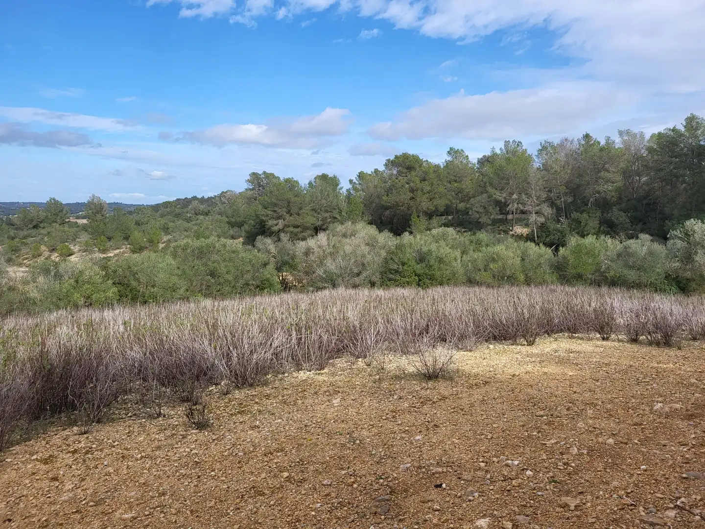 Residential for sale in Sant Joan