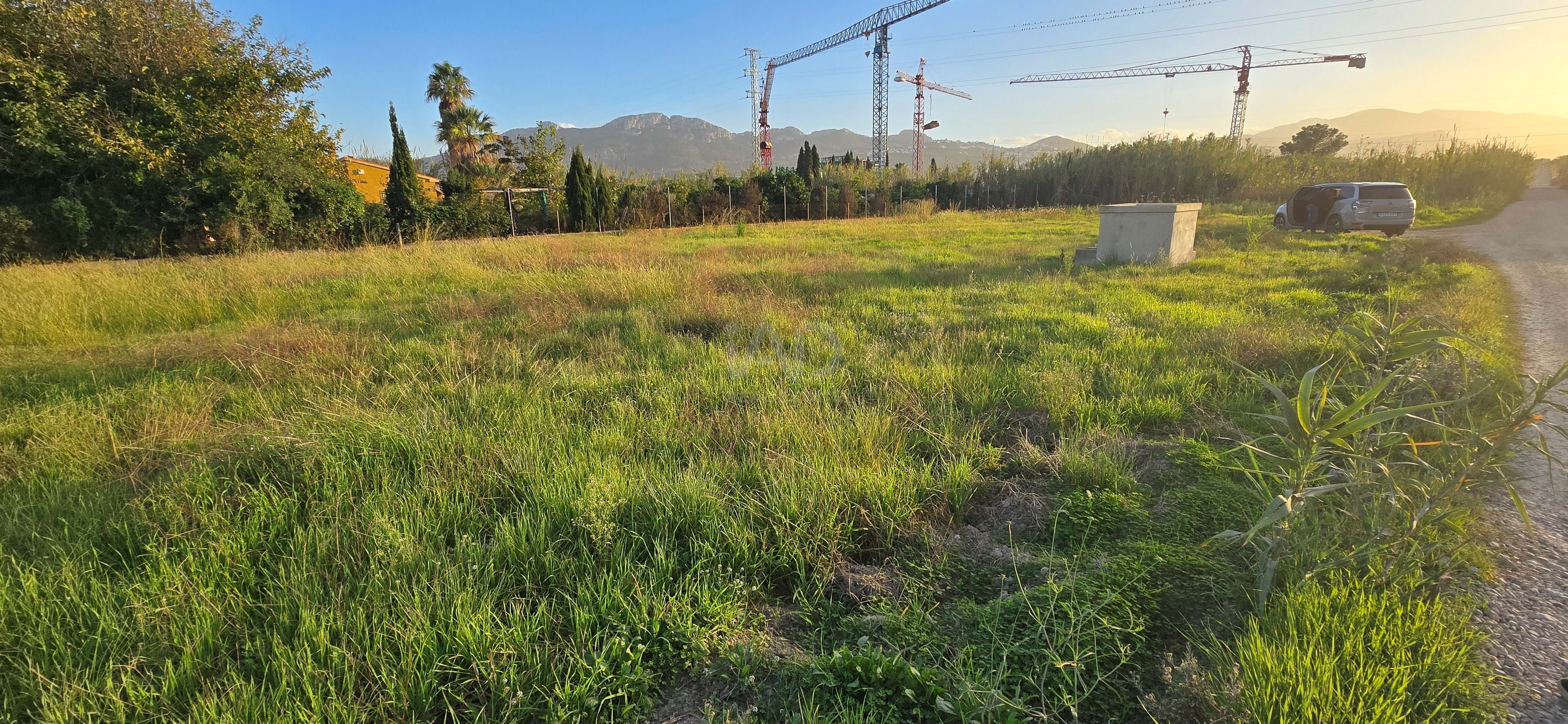 Land for sale in Oliva