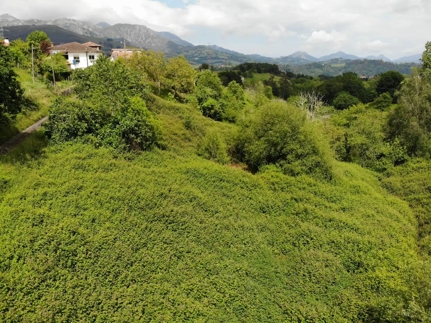Residential for sale in Piloña