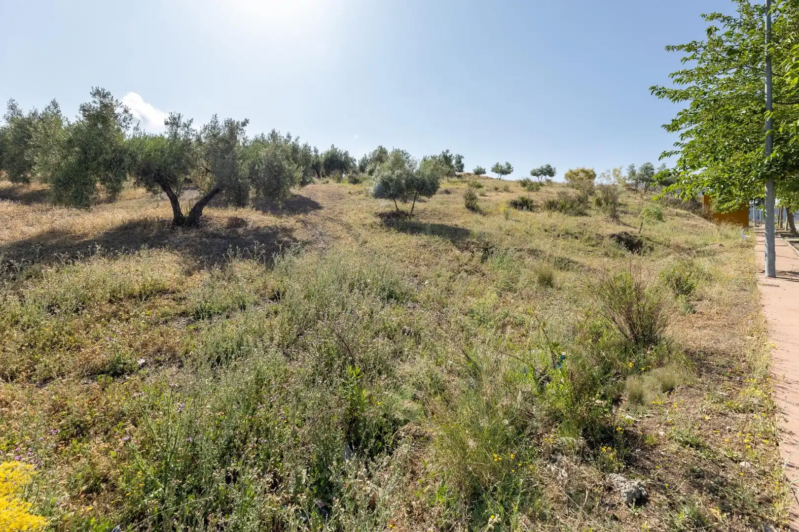 Terreno residencial en venta en Alfacar, imagen 15