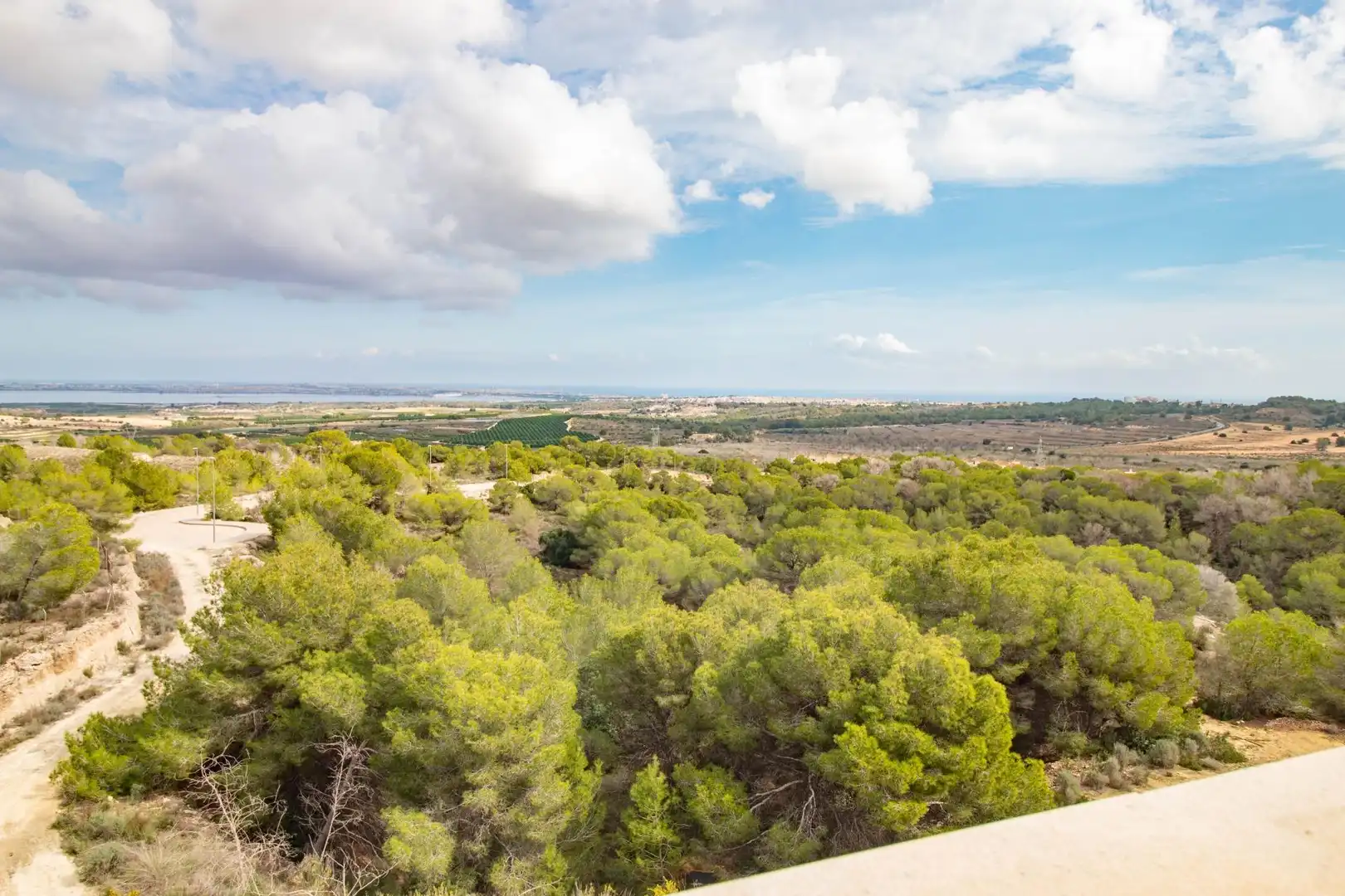 Apartamento con piscina en venta en San Miguel de Salinas, imagen 40