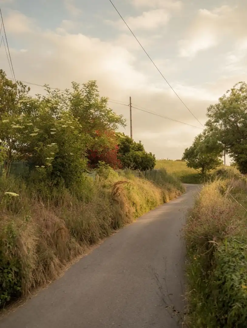 Residential land for sale in La Pola de Siero 58, imagen 15