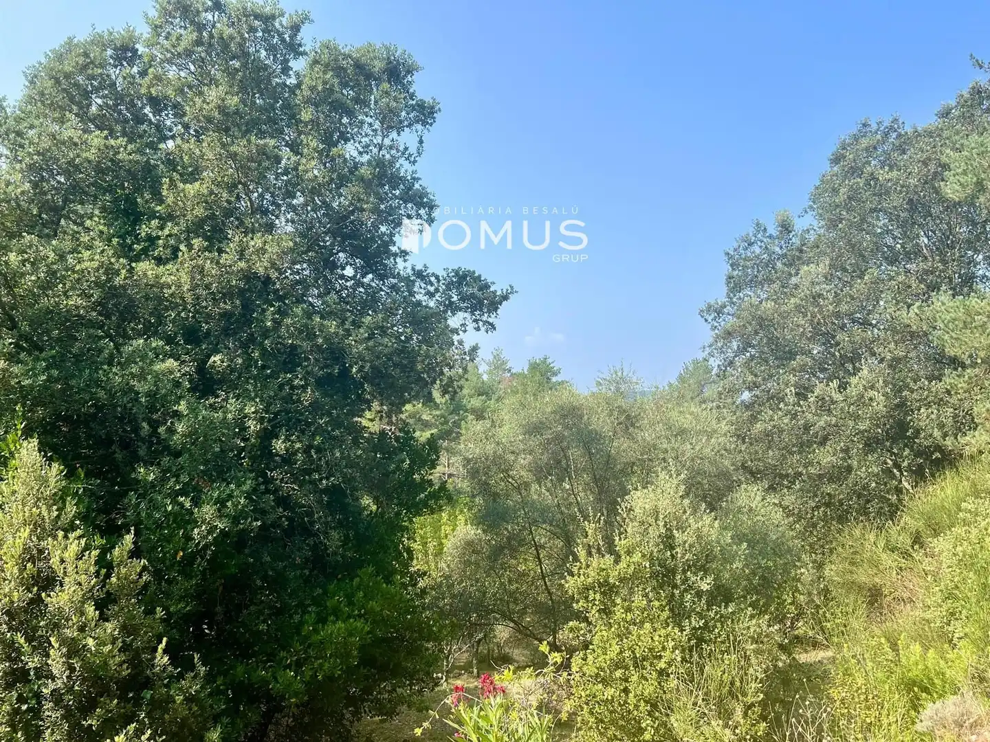 Residencial en venta en Sales de Llierca