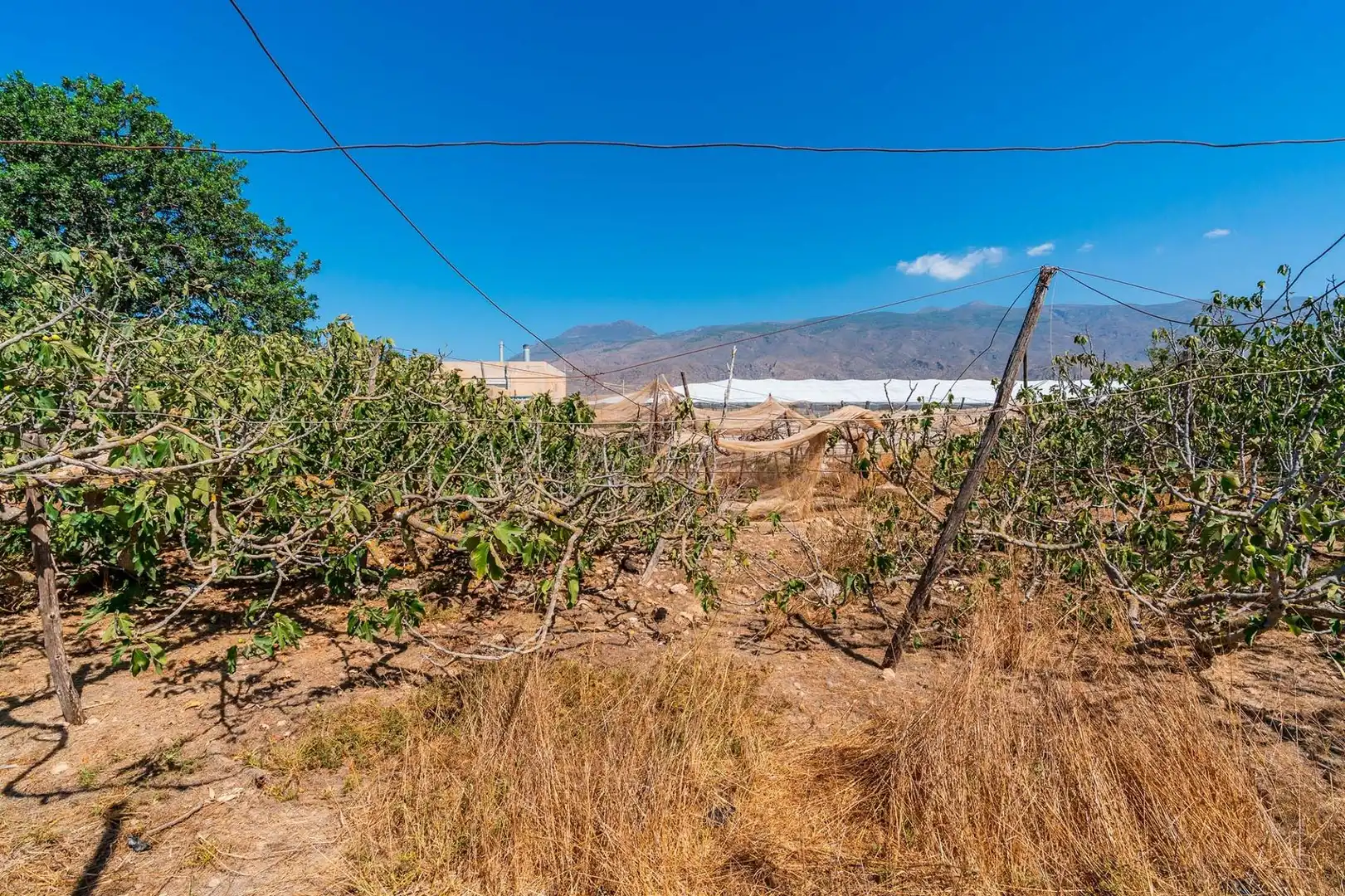 Terreni e lotti in vendita a El Ejido Ciudad, imagen 4
