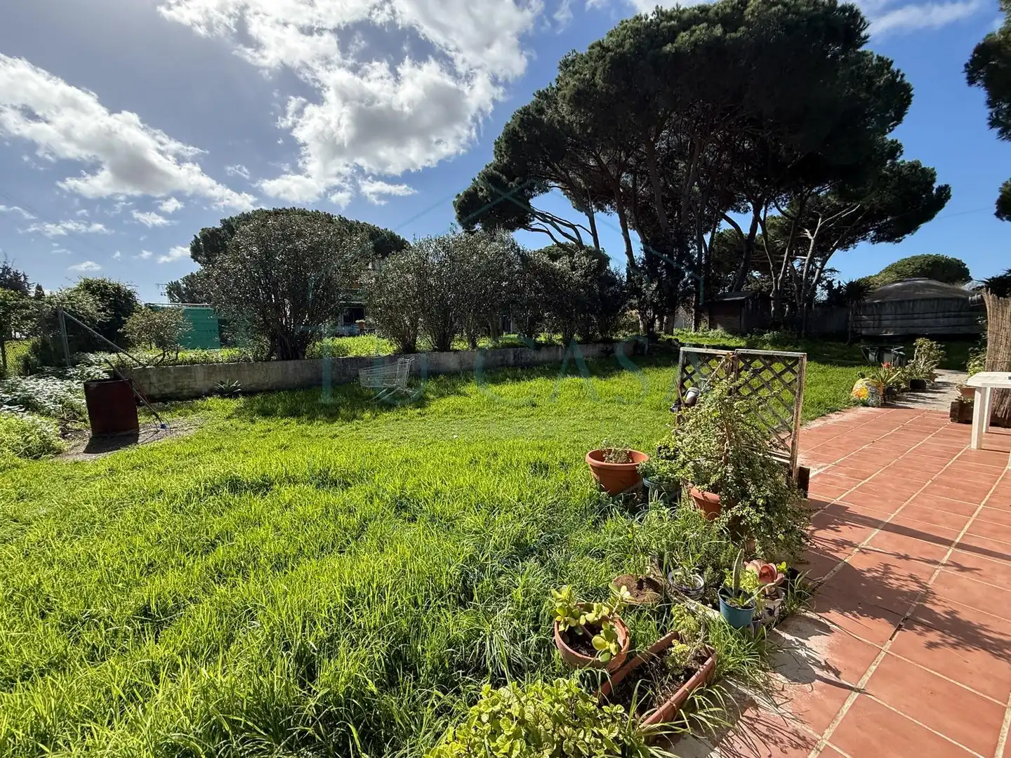 Chalet con piscina en venta en Los Franceses – La Vega, imagen 29