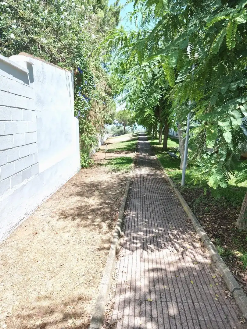 Wohnung zur Miete in La Jara