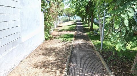 Photo 4 of Flat for rent in La Jara, Sanlúcar de Barrameda