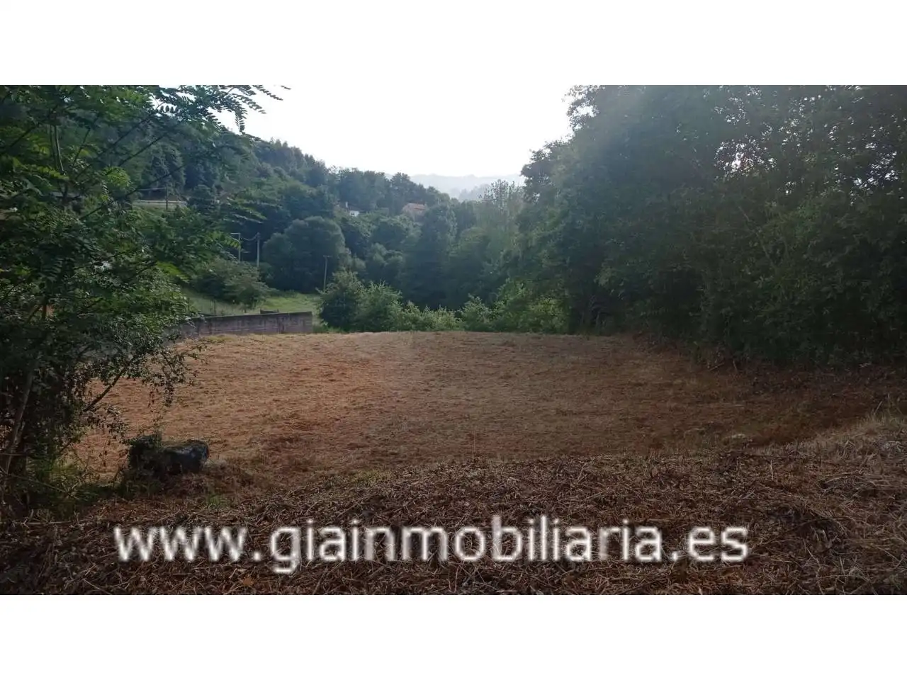 Terrenys i solars en venda a Calle Arcos, imagen 8