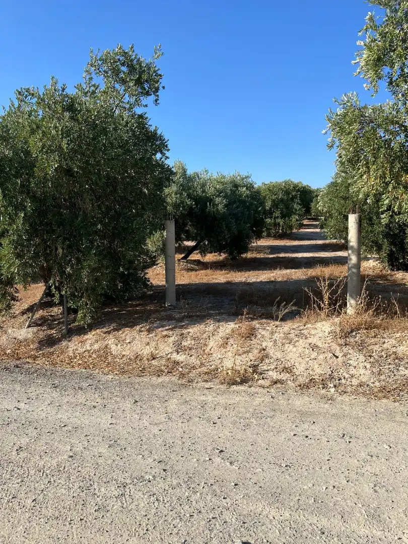 Terreny rústic en venda a Priego de Córdoba, imagen 3