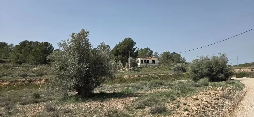Casa o chalet en venta en El Pinós / Pinoso con Piscina