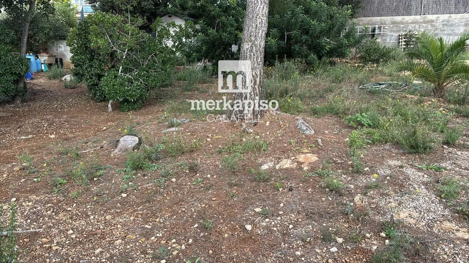 Terreny rústic en venda a Valldemar - Montmar, imagen 7