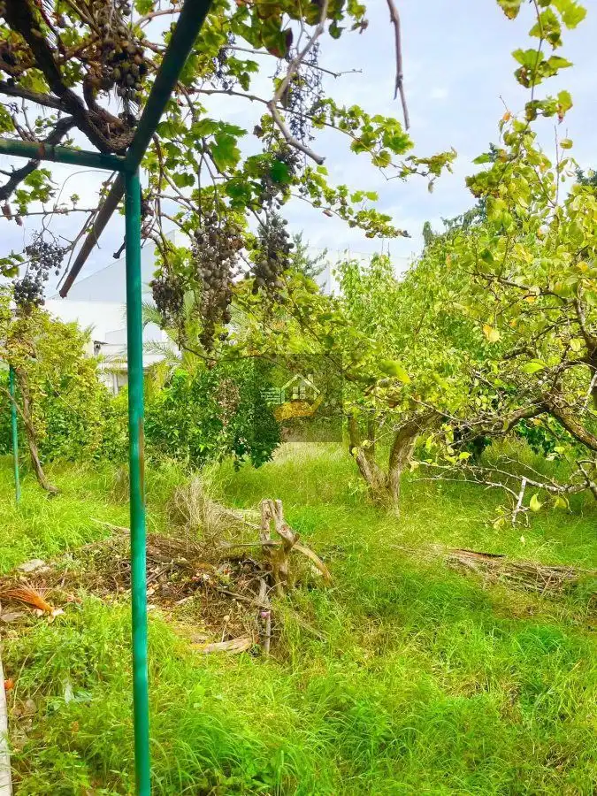 Casa o chalet en venta en Molina de Segura con Terraza