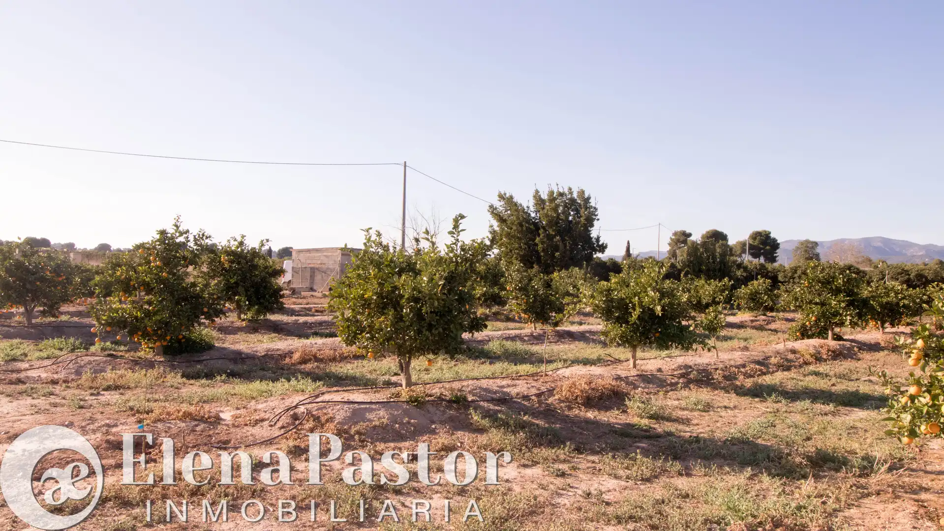 Terreno en venta en Bétera