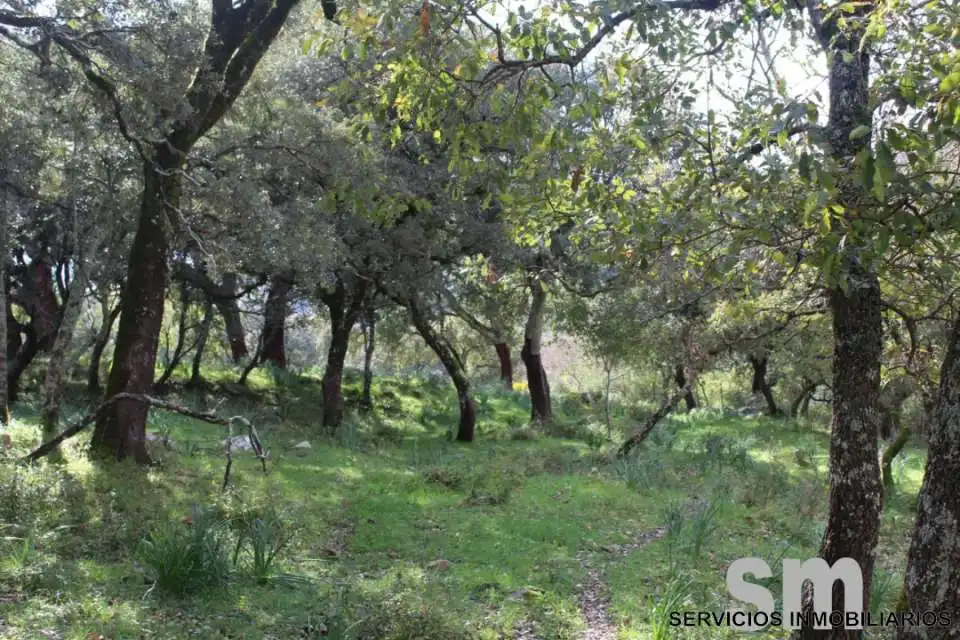 Terreni e lotti in vendita a Cortes de la Frontera, imagen 25