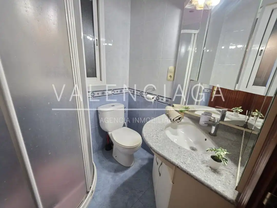 Wohnung mit Terrasse zum Verkauf in Lazkao, imagen 10