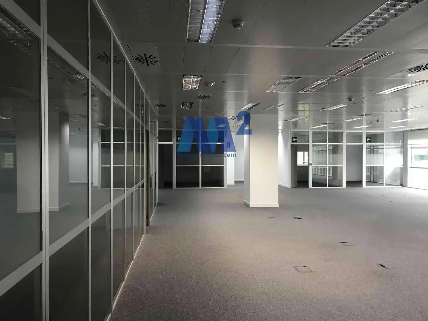 Office space to rent in Anabel Segura, imagen 6