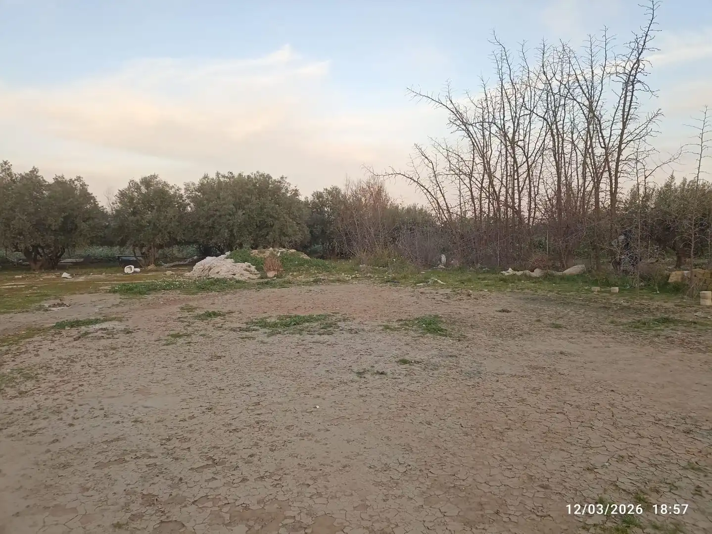 Land for sale in Totana
