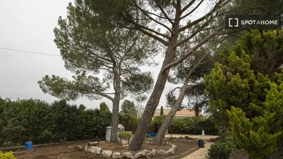 Jardí de Pis per a compartir en Villar del Olmo amb Aire condicionat, Calefacció i Moblat