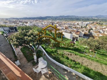 Casa amb jardí en venda a Calle Pozo Almecin