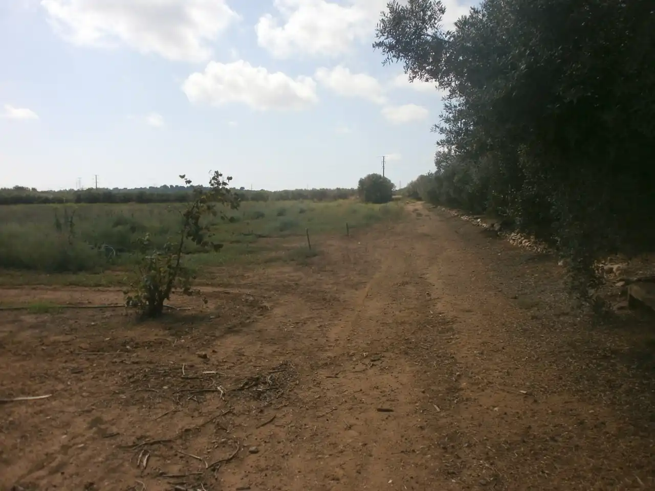 Rural land for sale in Constantí, imagen 14