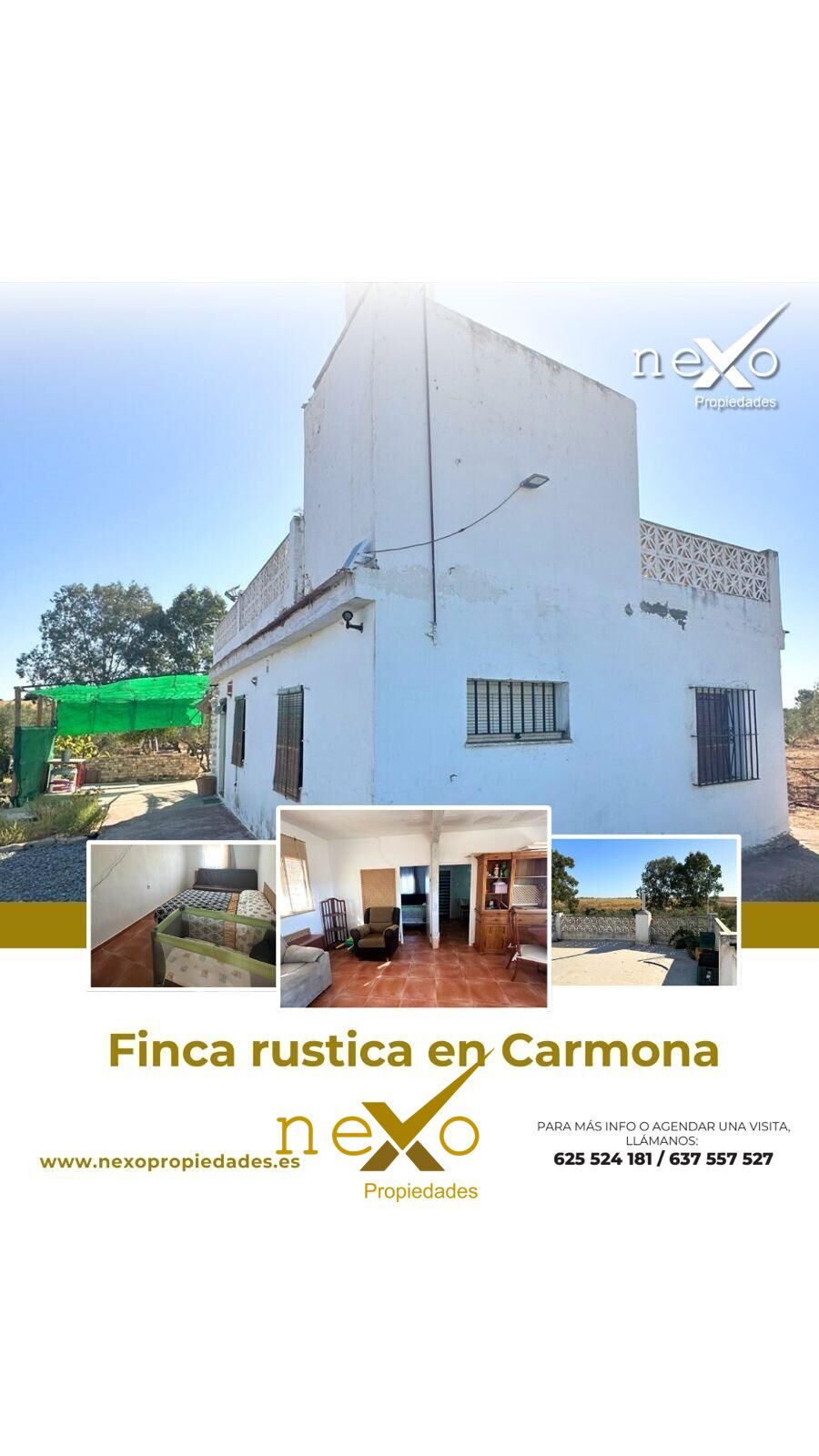 Finca rústica en venta