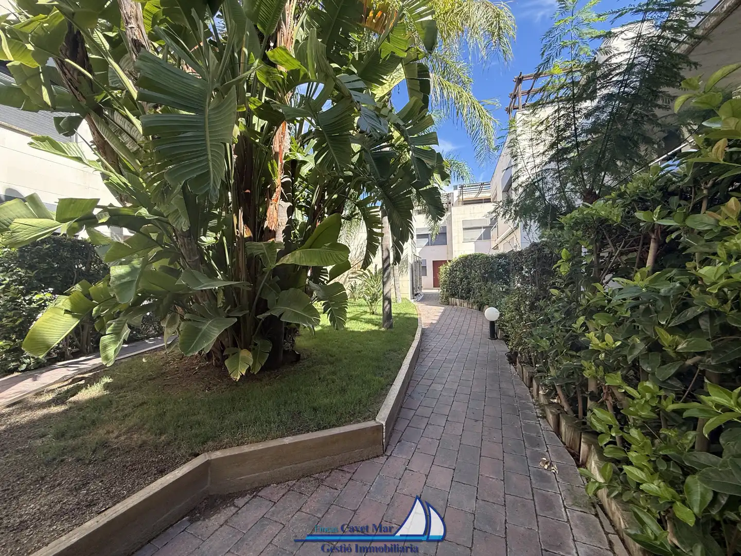 Maison mitoyenne avec piscine à vendre à Avinguda de la Diputació 41, imagen 32
