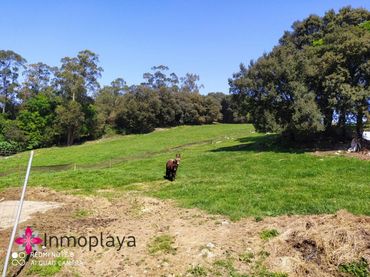 Terrenos y solares en venta en Arnuero