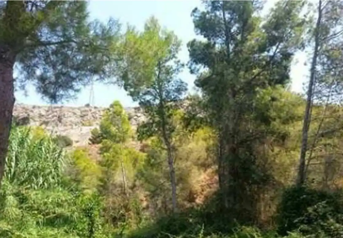 Terreno rustico in vendita a Altea ciudad, imagen 5