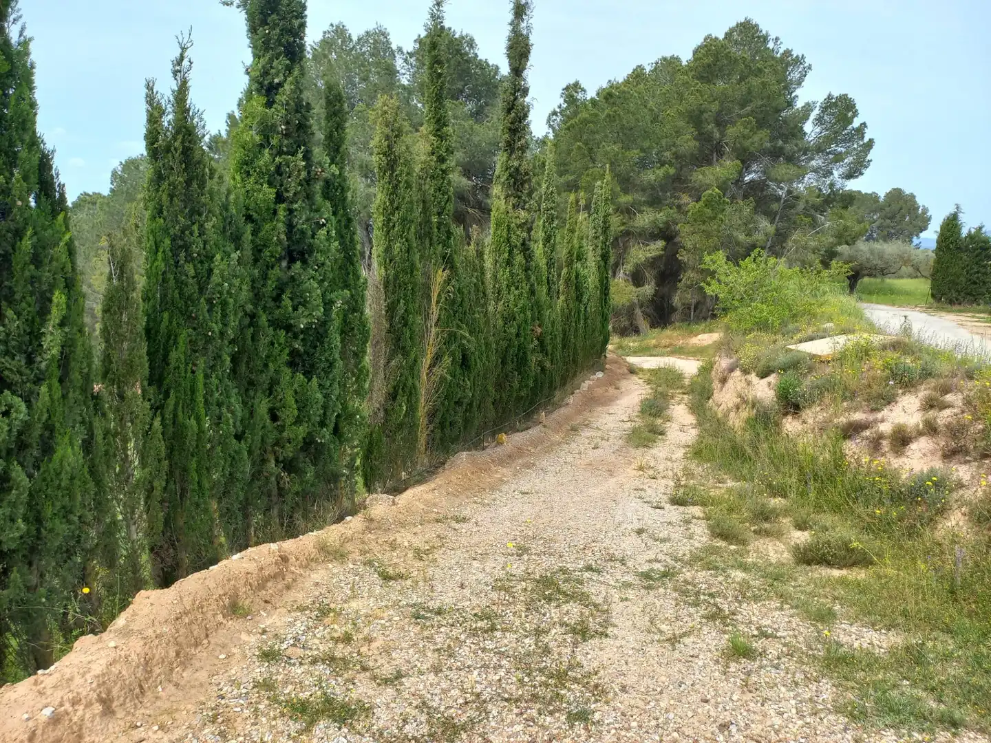 Terrain rustique à vendre à Ginestar, imagen 29