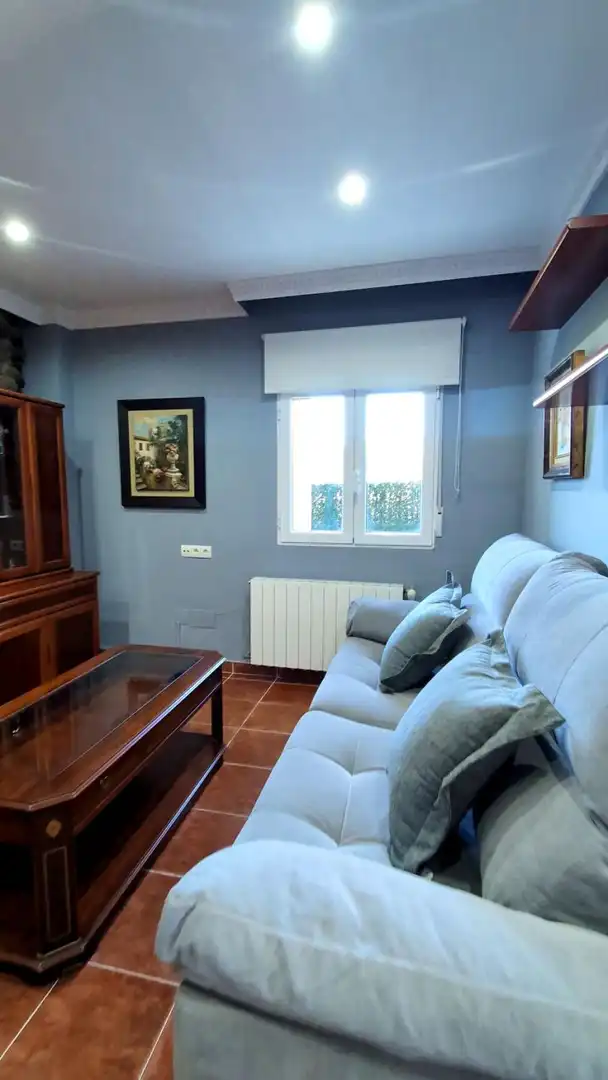 Living room of Apartments for rent in Camargo  with Heating, Terrace and Furnished
