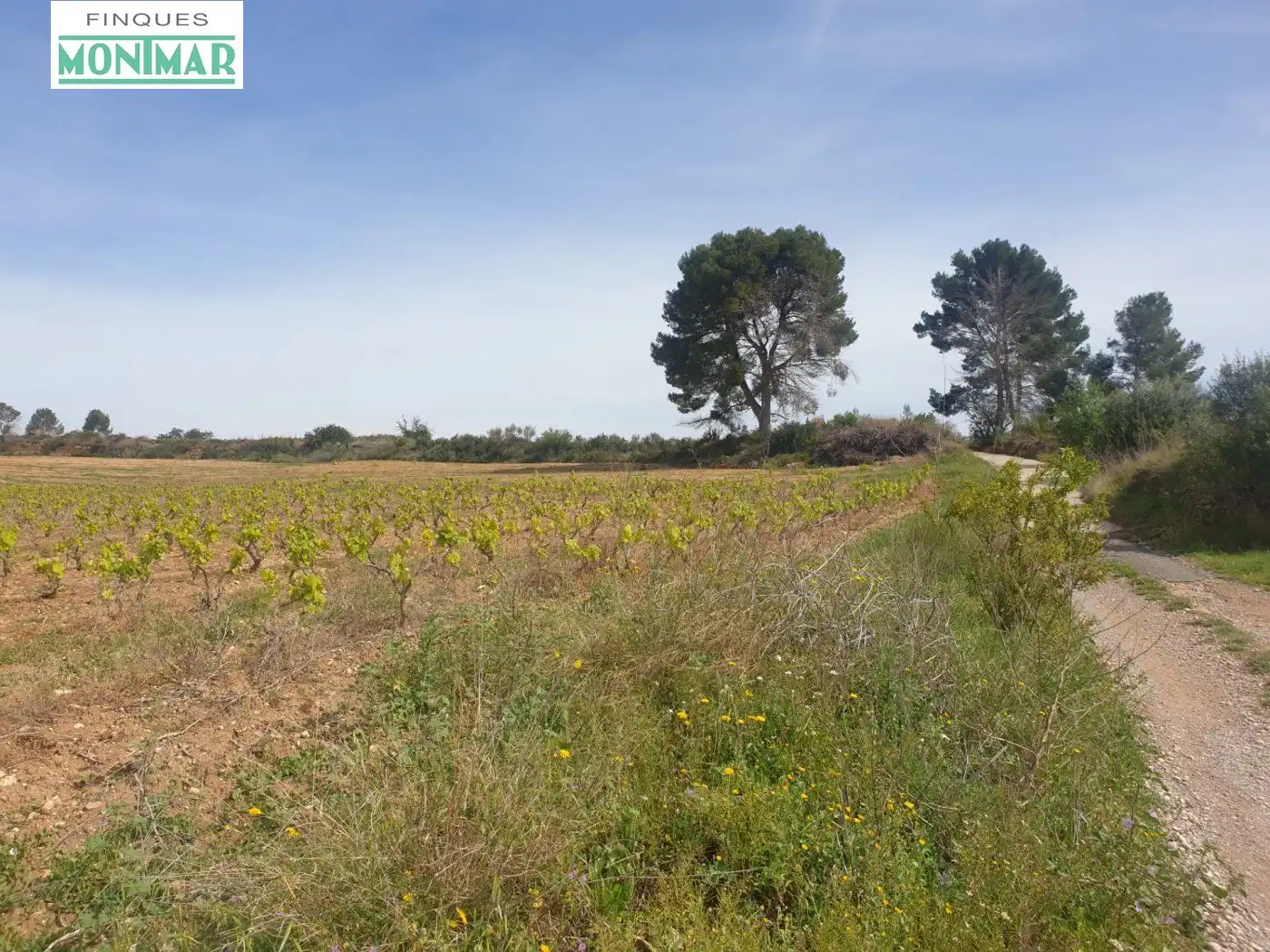 Country homes for sale in Vilabella