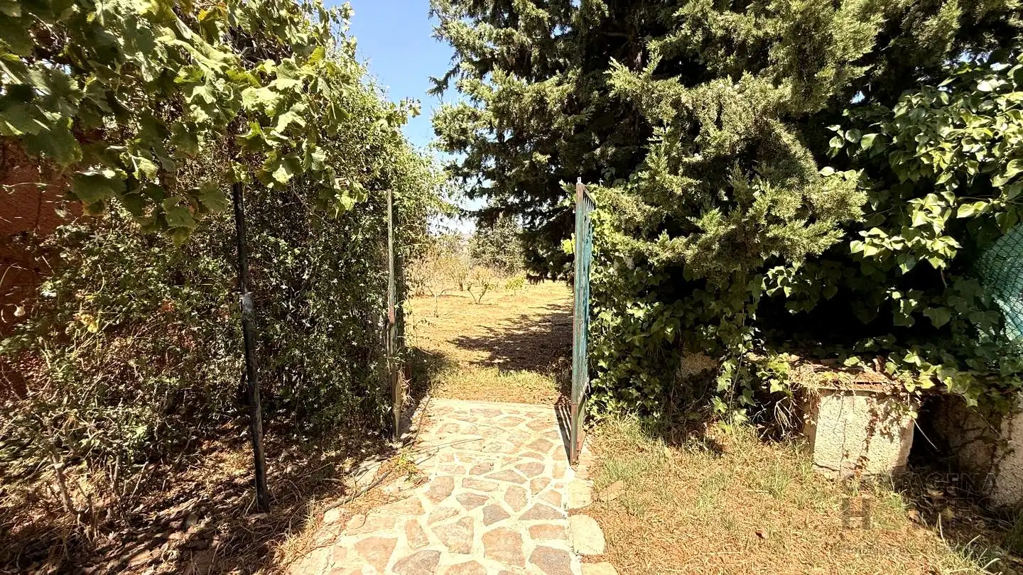 Haus mit Garten zum Verkauf in Calle Mayor 82, imagen 14