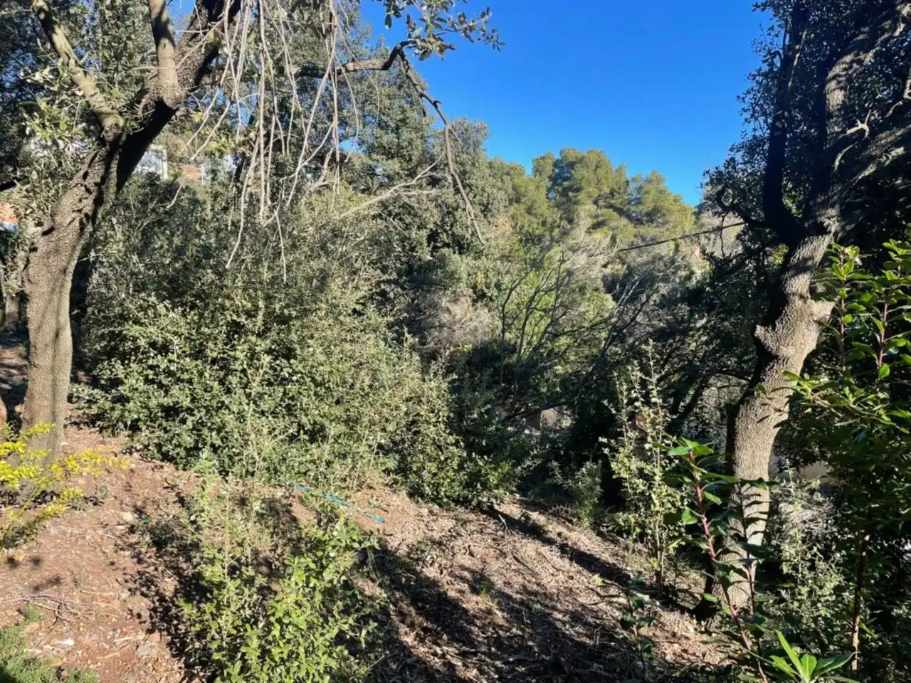 Terrain résidentiel à vendre à Matadepera, imagen 8