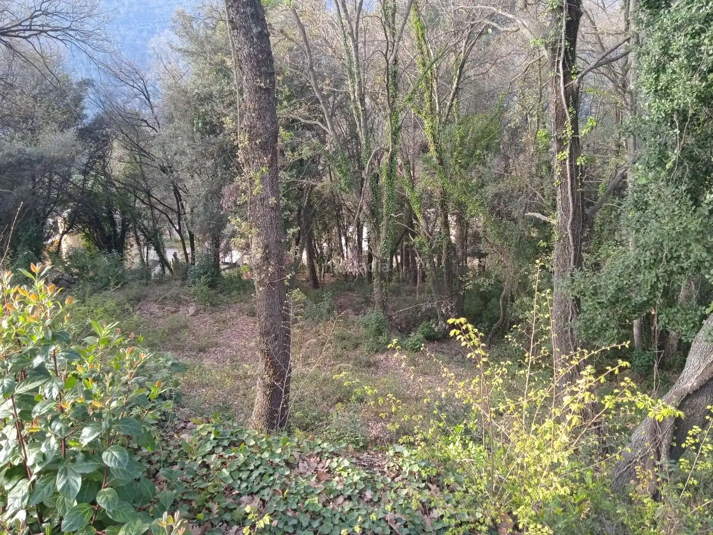 Residential land for sale in Avinguda Catalunya 29