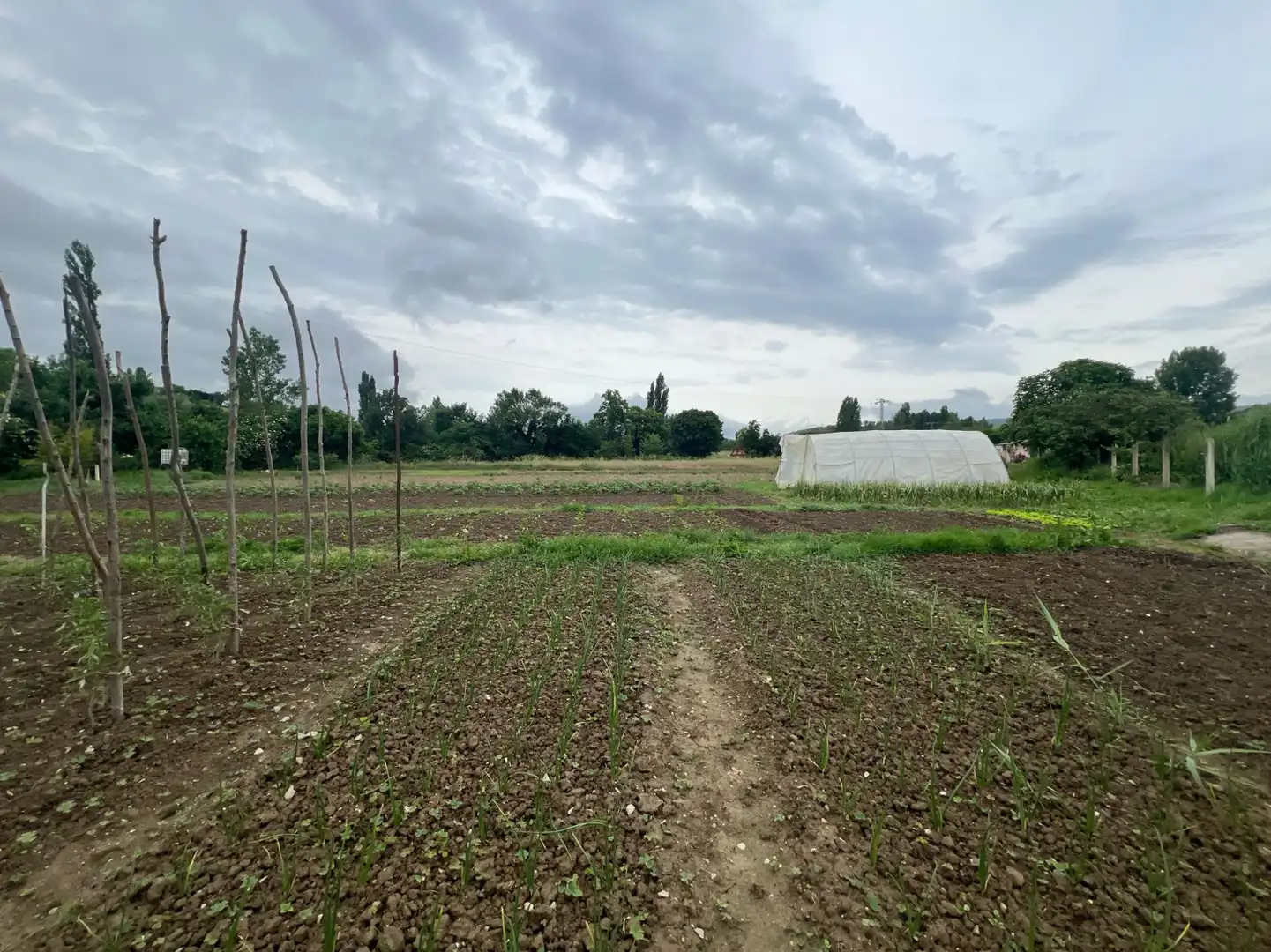 Terreno rústico en venta en Urroz-Villa - Entreaguas, imagen 4