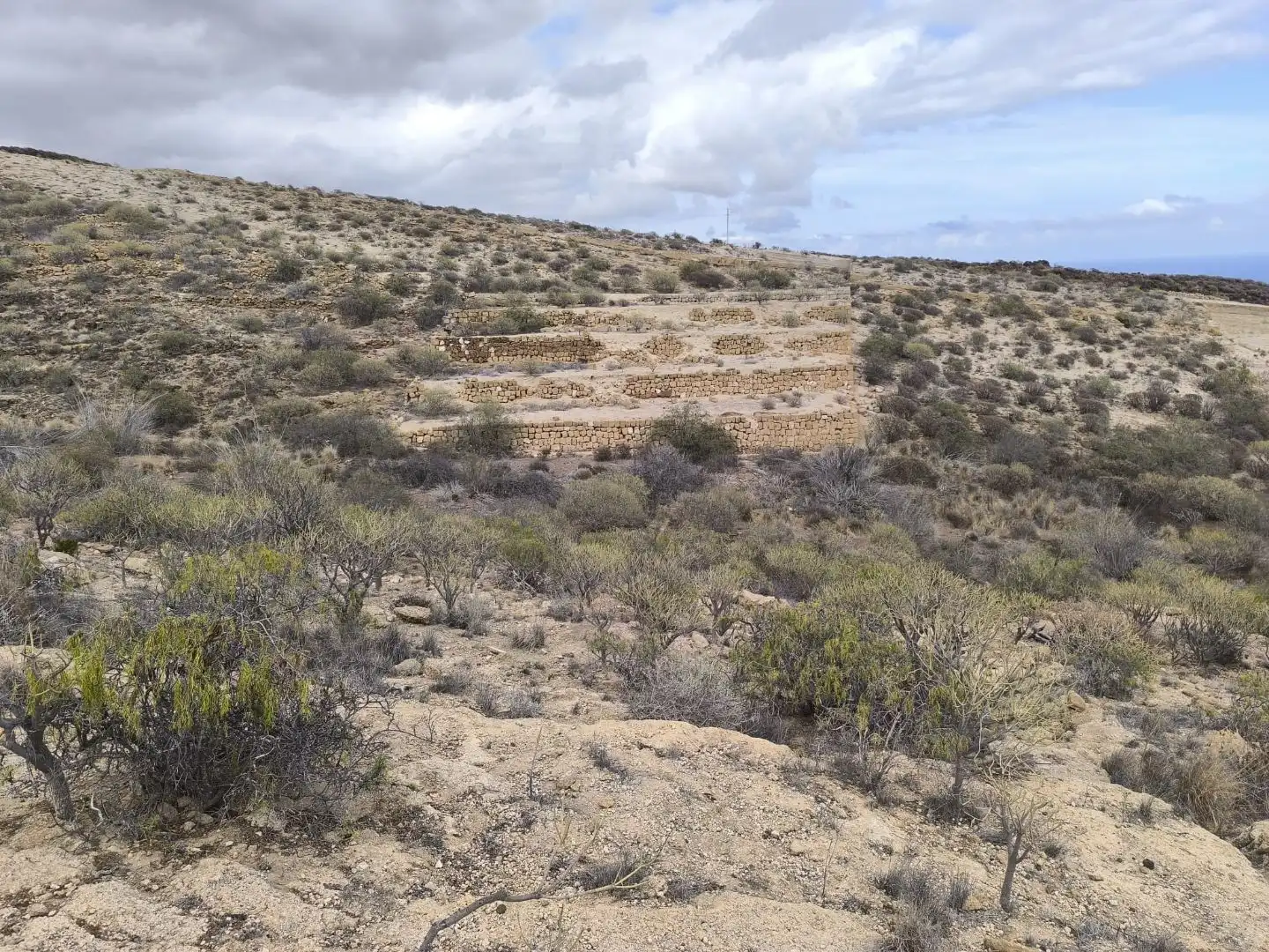 Exterior view of Land for sale in Fasnia