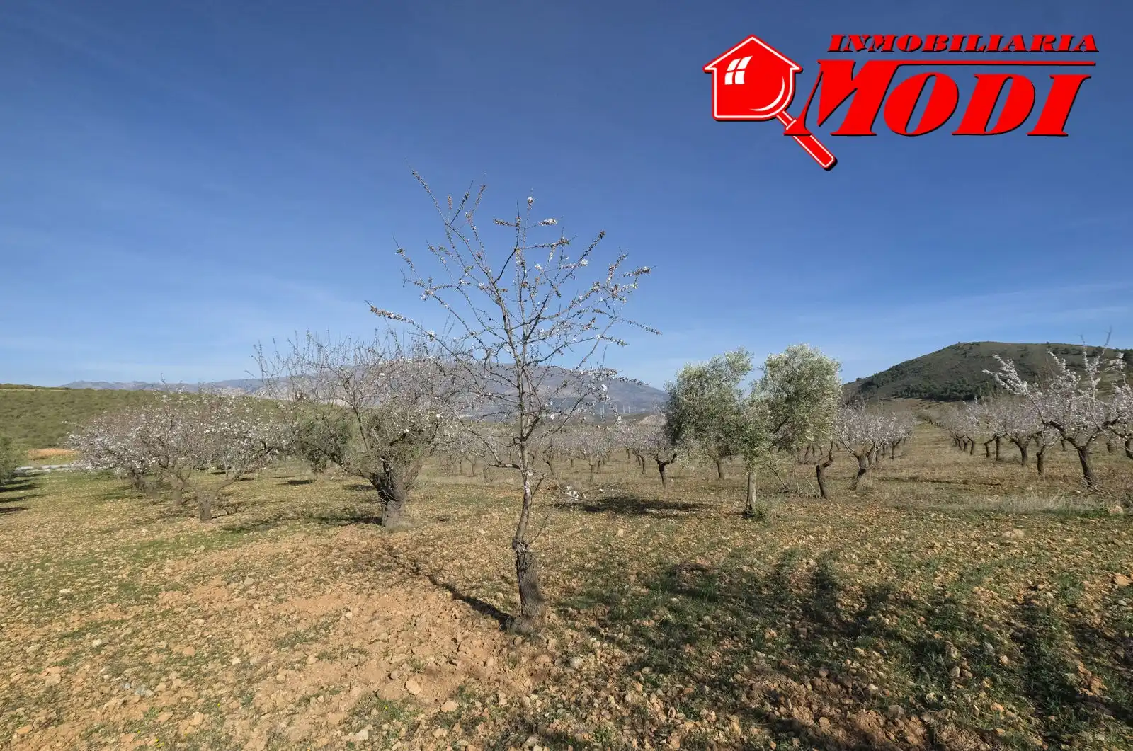 Terreni e lotti in vendita a El Valle, imagen 23