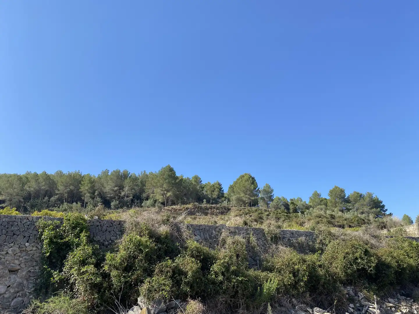 Terreno rústico en venta en Carrer de Madrid, imagen 5