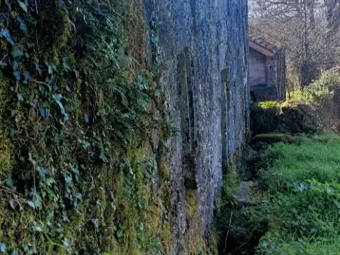 Vista exterior de Terreno en venta en O Irixo
