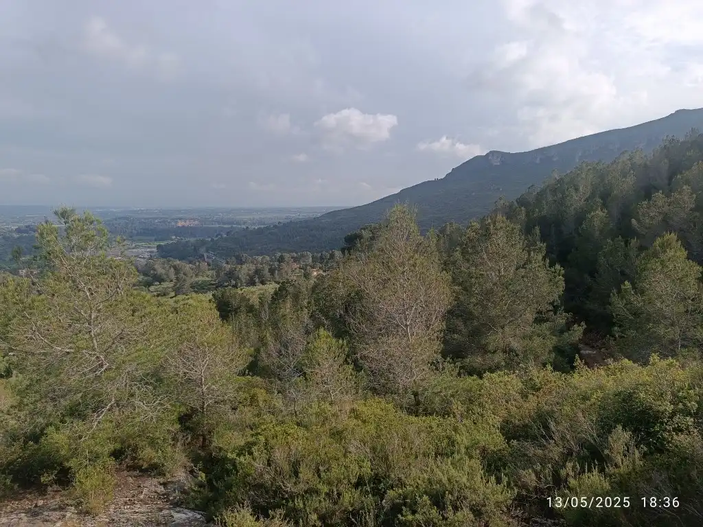 Terreno rustico in vendita a Carrer Major 1, imagen 8