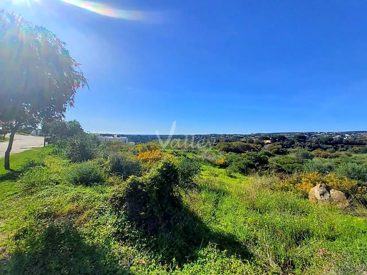 Terrenys i solars en venda a Lavanda En La Reserva De Sotogrande, imagen 3