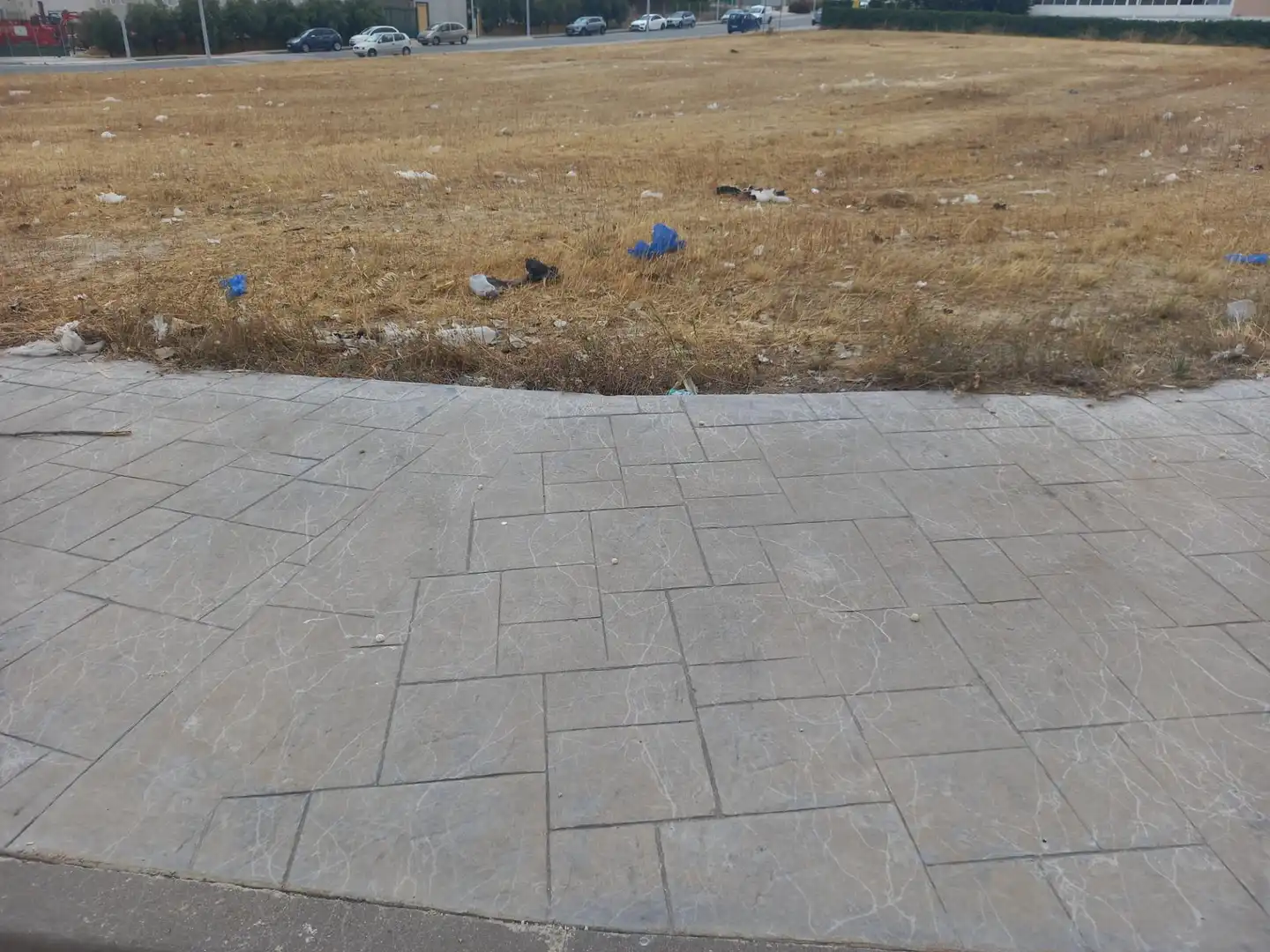 Terreno industriale in vendita a Pedanías Este, imagen 2