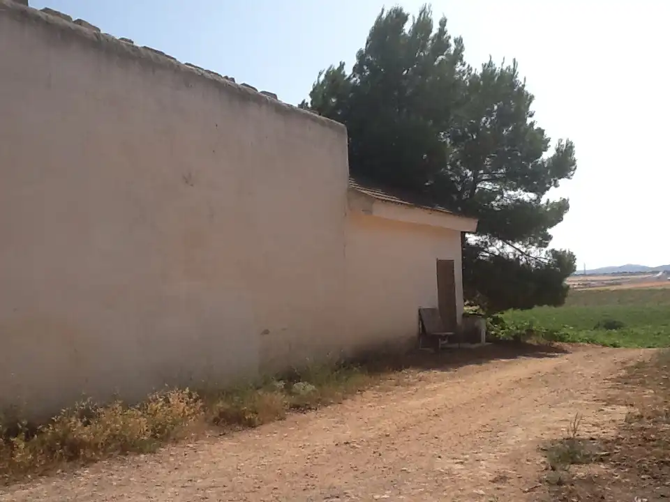 Terreno rustico in vendita a Pozohondo, imagen 4