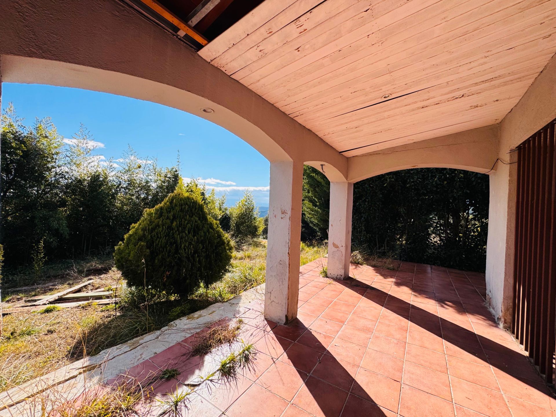 Garden of House or chalet for sale in Riudarenes  with Private garden, Terrace and Swimming Pool
