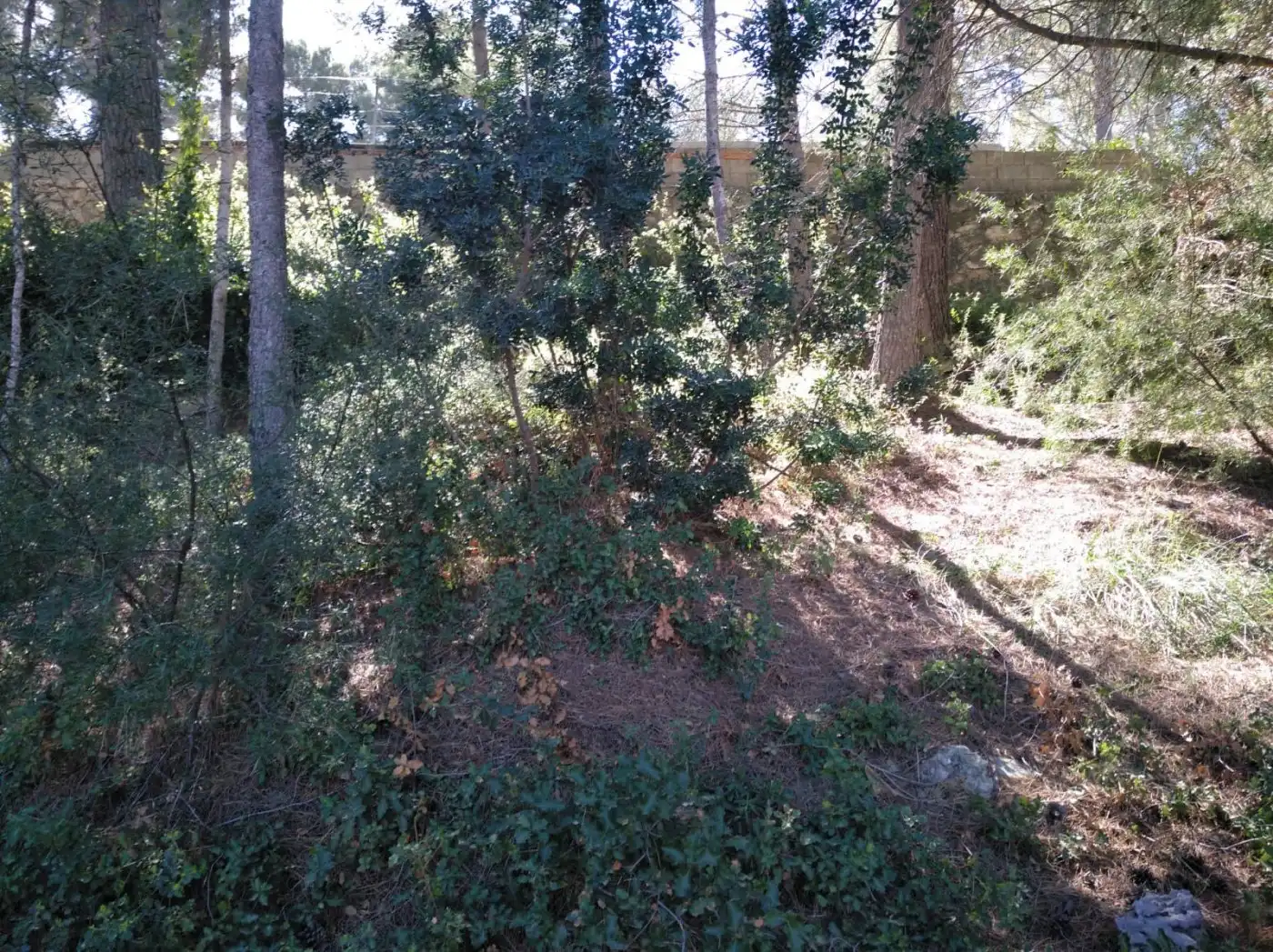 Terreno residenziale in vendita a Gestalagar
