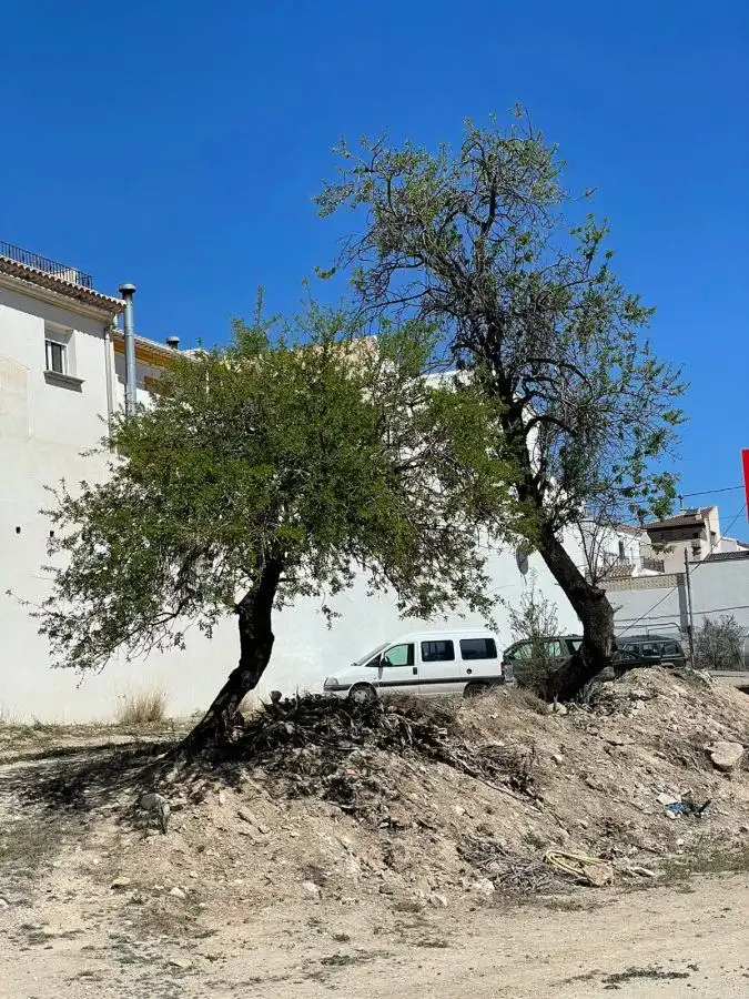 Wohnbaugrundstück zum Verkauf in Vélez-Rubio, imagen 3